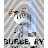 Brand Catalog-ZX 349